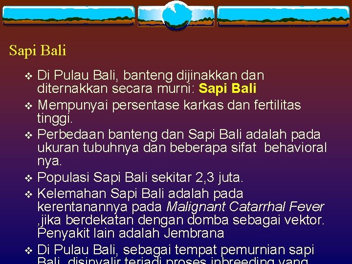 Sapi Bali Di Pulau Bali, banteng dijinakkan diternakkan secara murni: Sapi Bali v Mempunyai