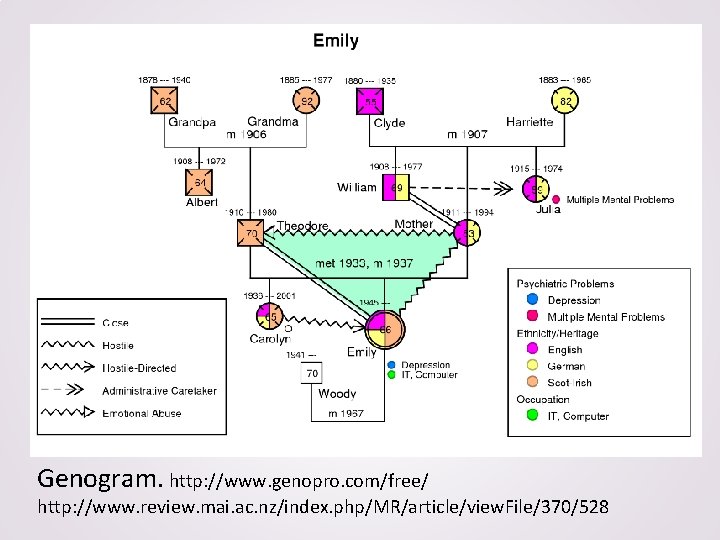 Genogram. http: //www. genopro. com/free/ http: //www. review. mai. ac. nz/index. php/MR/article/view. File/370/528 