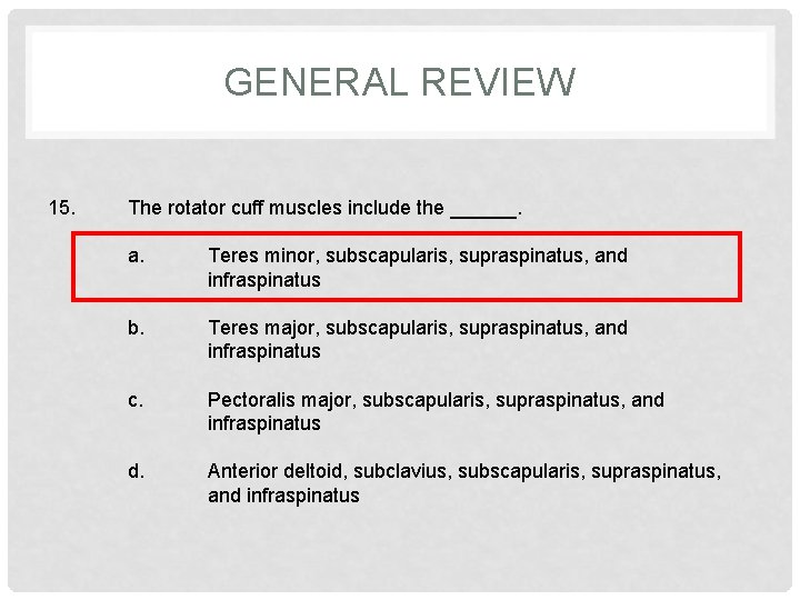 GENERAL REVIEW 15. The rotator cuff muscles include the ______. a. Teres minor, subscapularis,