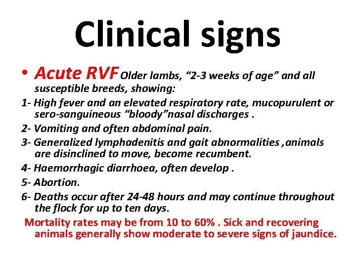 Clinical signs • Acute RVF Older lambs, “ 2 -3 weeks of age” and