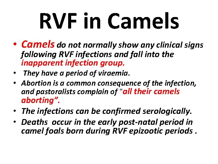 RVF in Camels • Camels do not normally show any clinical signs following RVF