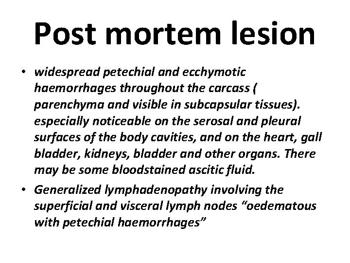 Post mortem lesion • widespread petechial and ecchymotic haemorrhages throughout the carcass ( parenchyma