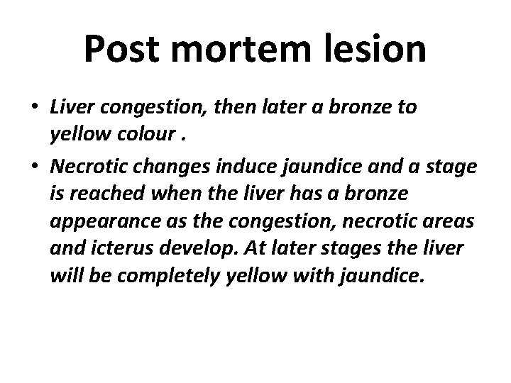 Post mortem lesion • Liver congestion, then later a bronze to yellow colour. •