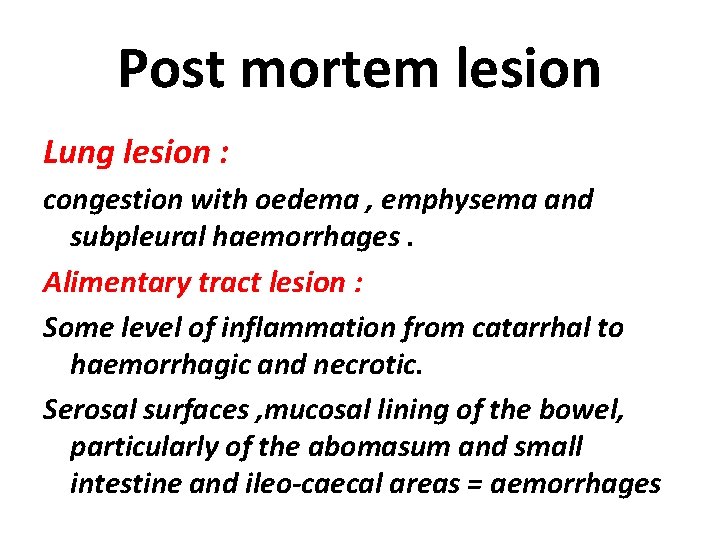 Post mortem lesion Lung lesion : congestion with oedema , emphysema and subpleural haemorrhages.