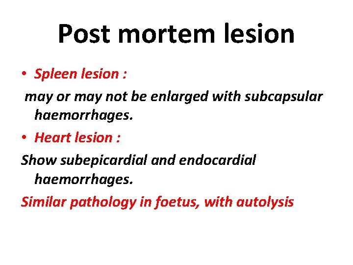 Post mortem lesion • Spleen lesion : may or may not be enlarged with