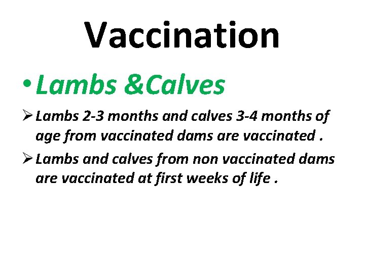 Vaccination • Lambs &Calves Ø Lambs 2 -3 months and calves 3 -4 months