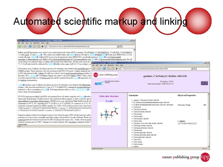 Automated scientific markup and linking 