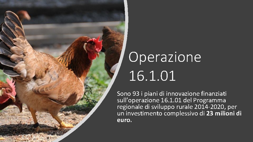 Operazione 16. 1. 01 Sono 93 i piani di innovazione finanziati sull’operazione 16. 1.