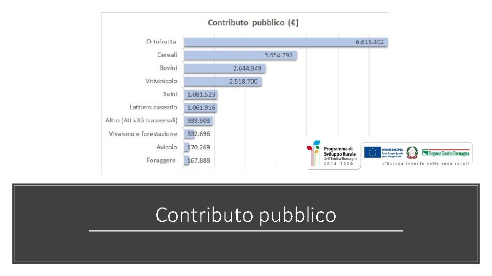 Contributo pubblico 