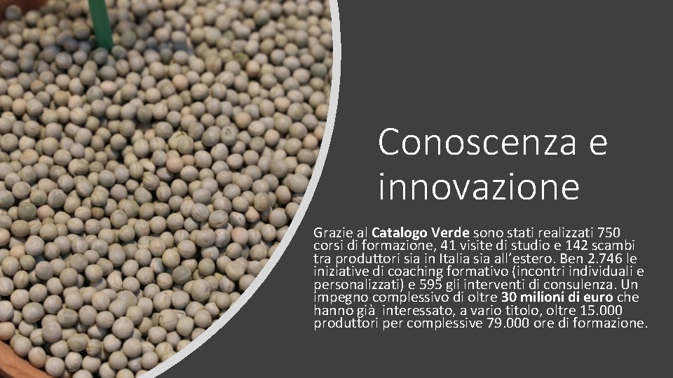 Conoscenza e innovazione Grazie al Catalogo Verde sono stati realizzati 750 corsi di formazione,