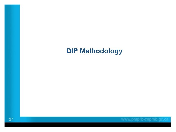 DIP Methodology 27 