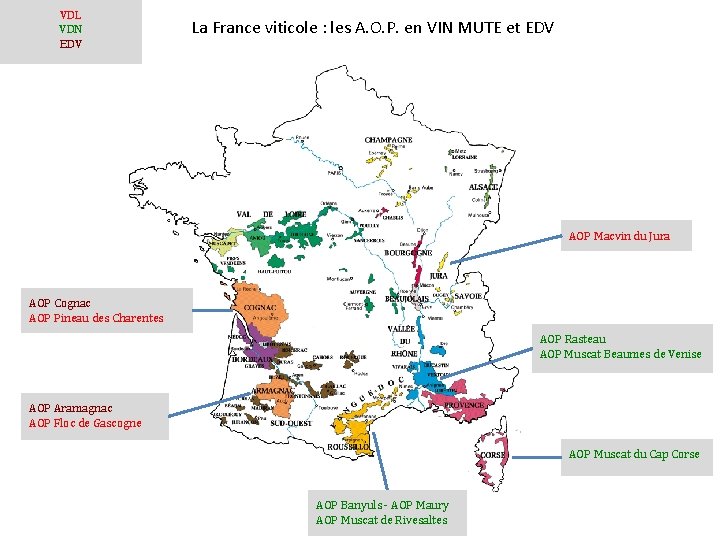 VDL VDN EDV La France viticole : les A. O. P. en VIN MUTE