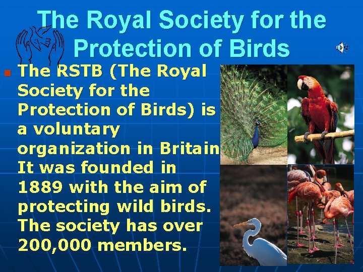 The Royal Society for the Protection of Birds n The RSTB (The Royal Society