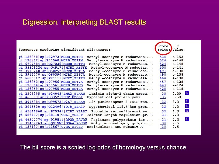 Digression: interpreting BLAST results The bit score is a scaled log-odds of homology versus