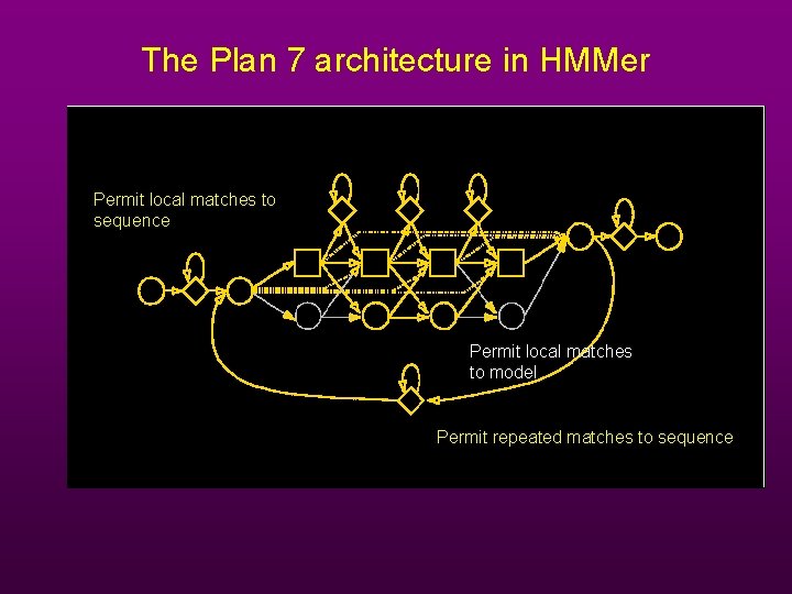The Plan 7 architecture in HMMer Permit local matches to sequence Permit local matches