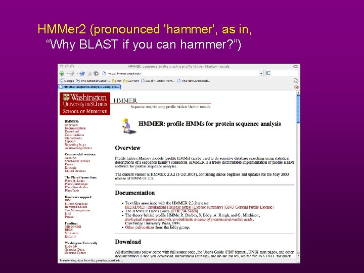 HMMer 2 (pronounced 'hammer', as in, “Why BLAST if you can hammer? ”) 