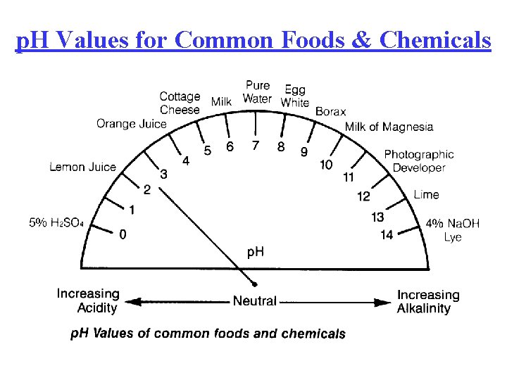 p. H Values for Common Foods & Chemicals 
