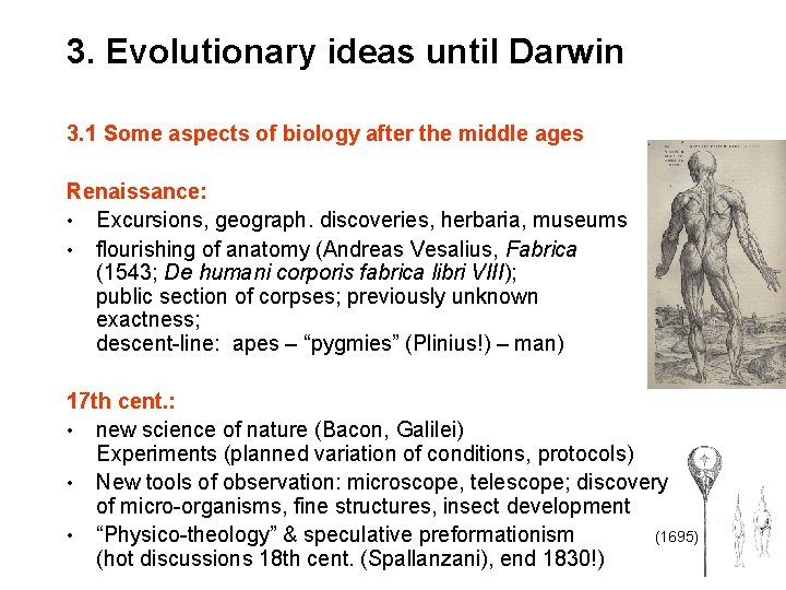 3. Evolutionary ideas until Darwin 3. 1 Some aspects of biology after the middle