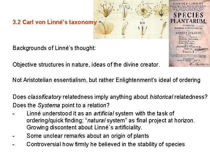 3. 2 Carl von Linné’s taxonomy Backgrounds of Linné’s thought: Objective structures in nature,