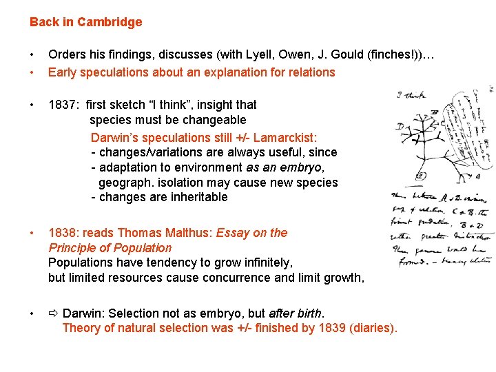 Back in Cambridge • • Orders his findings, discusses (with Lyell, Owen, J. Gould