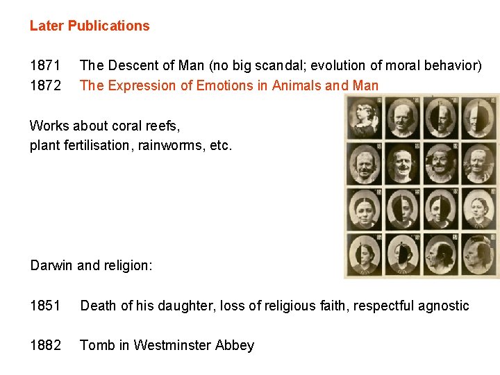 Later Publications 1871 1872 The Descent of Man (no big scandal; evolution of moral