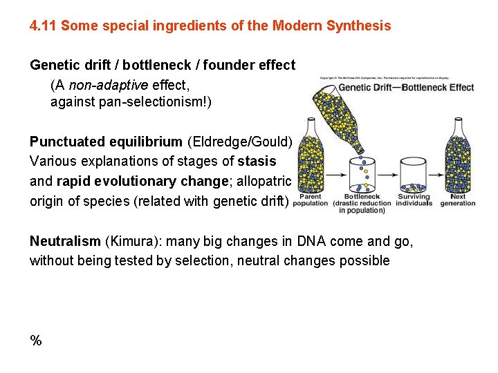 4. 11 Some special ingredients of the Modern Synthesis Genetic drift / bottleneck /