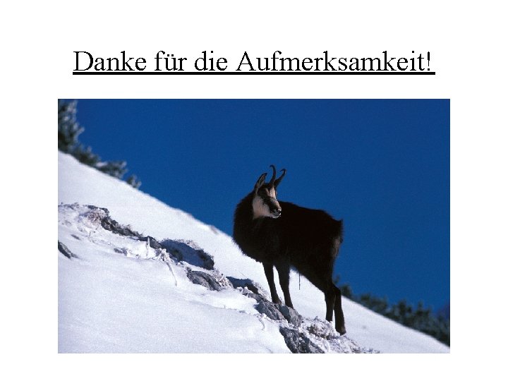 Danke für die Aufmerksamkeit! 