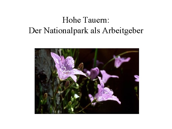 Hohe Tauern: Der Nationalpark als Arbeitgeber 