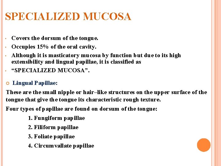 SPECIALIZED MUCOSA • • Covers the dorsum of the tongue. Occupies 15% of the