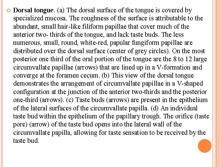 http: //pocketdentistry. com/9 -oral-mucosa-and-mucosal-sensation Dorsal tongue. (a) The dorsal surface of the tongue is