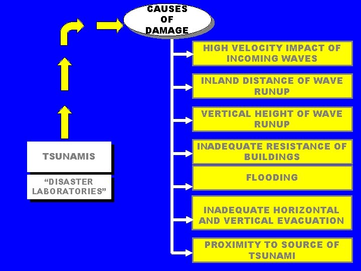 CAUSES OF DAMAGE HIGH VELOCITY IMPACT OF INCOMING WAVES INLAND DISTANCE OF WAVE RUNUP
