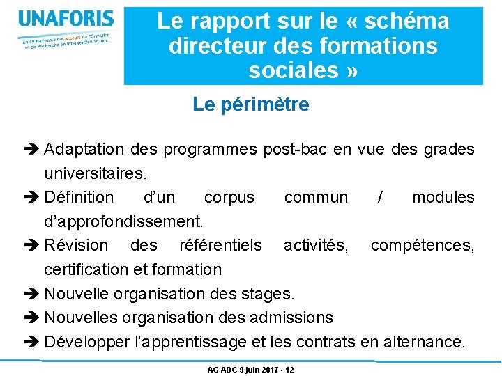 Le rapport sur le « schéma directeur des formations sociales » Le périmètre Adaptation