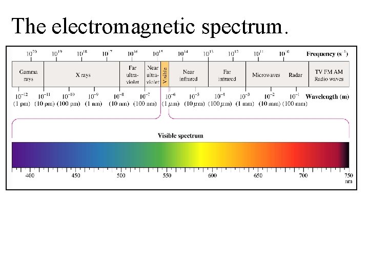 The electromagnetic spectrum. 