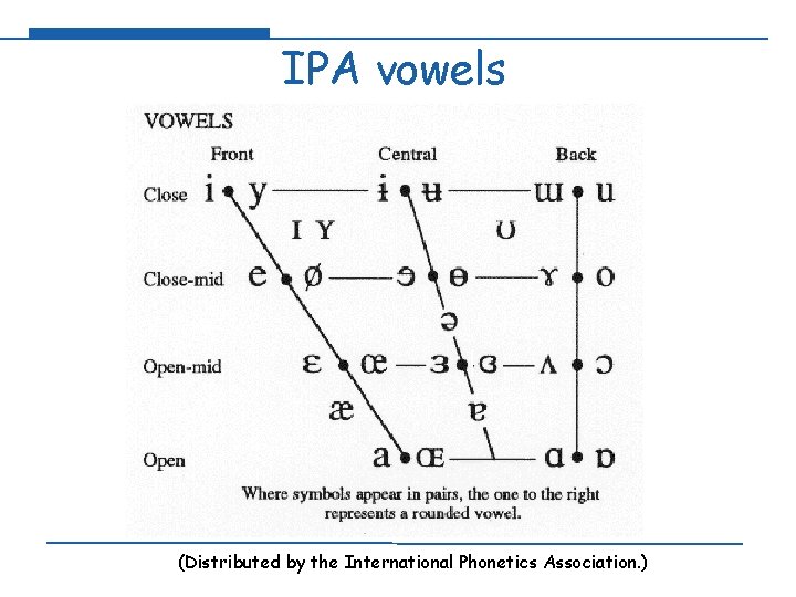 IPA vowels (Distributed by the International Phonetics Association. ) 