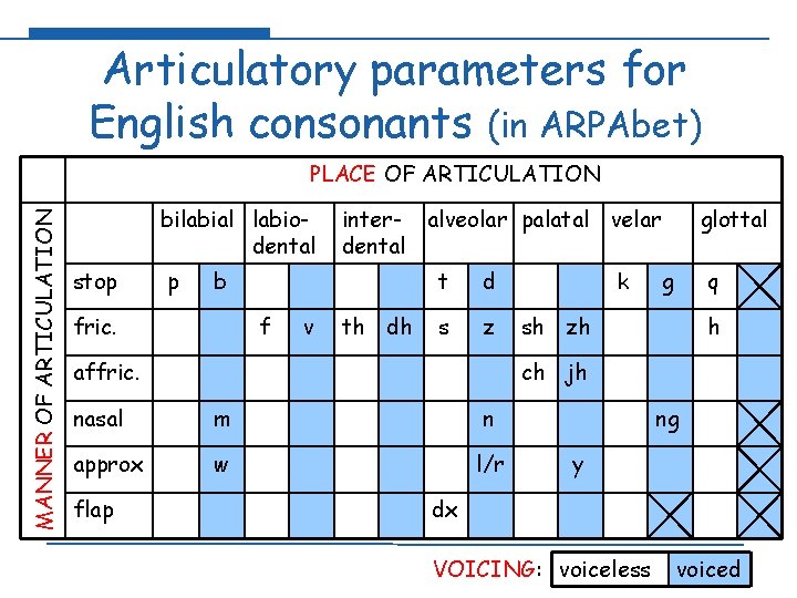 Articulatory parameters for English consonants (in ARPAbet) MANNER OF ARTICULATION PLACE OF ARTICULATION bilabial