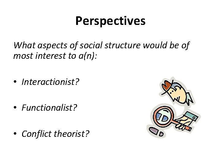 Perspectives What aspects of social structure would be of most interest to a(n): •
