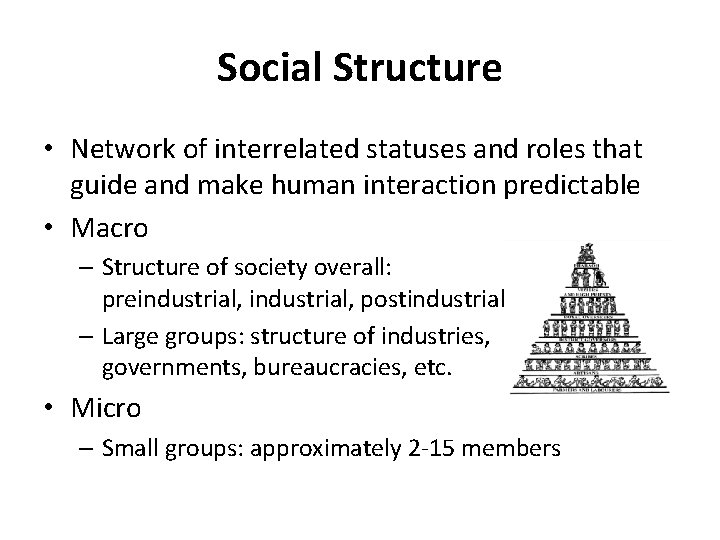 Social Structure • Network of interrelated statuses and roles that guide and make human