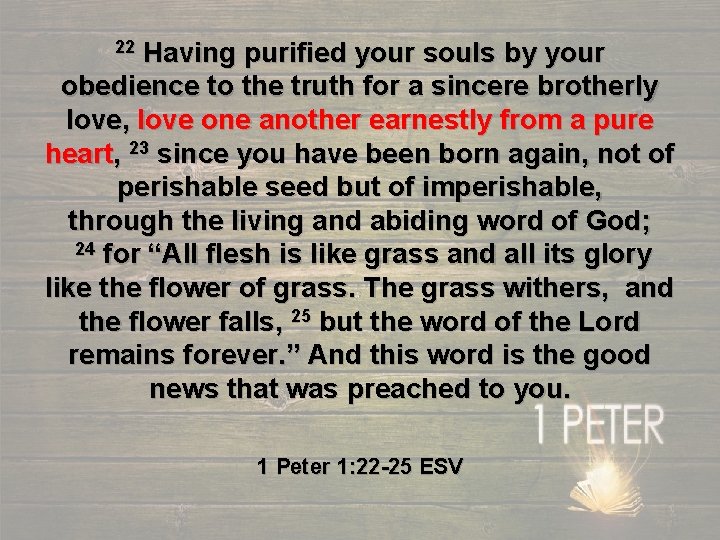 Having purified your souls by your obedience to the truth for a sincere brotherly