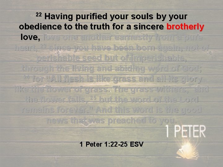 Having purified your souls by your obedience to the truth for a sincere brotherly
