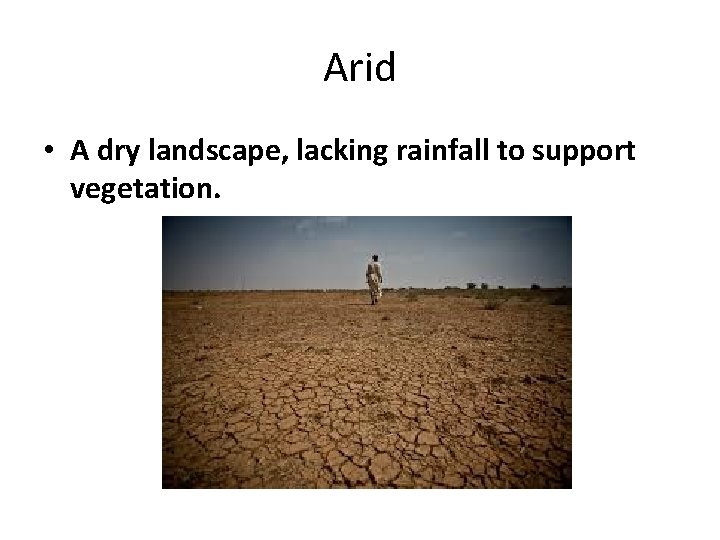 Arid • A dry landscape, lacking rainfall to support vegetation. 