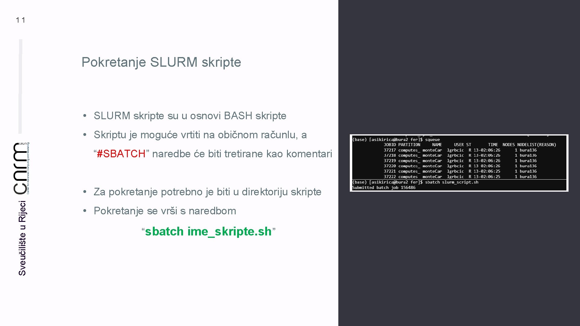 11 Pokretanje SLURM skripte • SLURM skripte su u osnovi BASH skripte • Skriptu