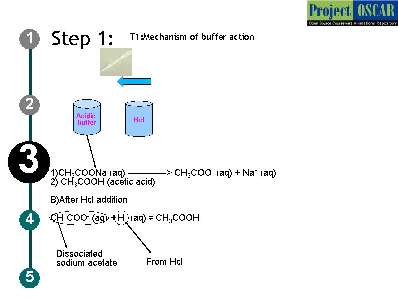 1 2 3 Step 1: Acidic buffer T 1: Mechanism of buffer action Hcl 1 2 3 Step 1: Acidic buffer T 1: Mechanism of buffer action Hcl