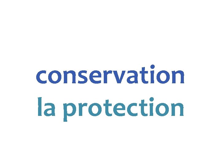 conservation la protection 