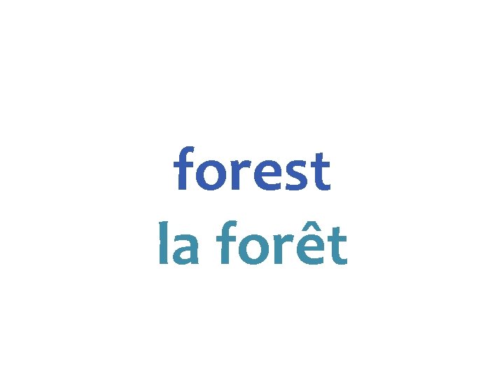 forest la forêt 