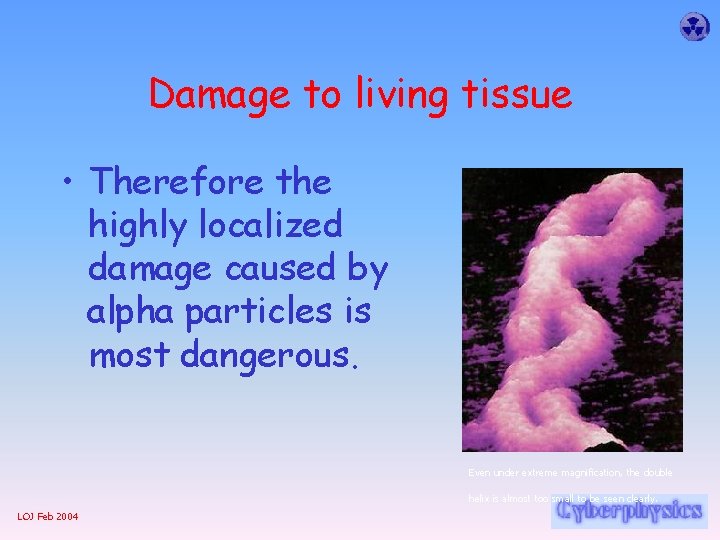 Damage to living tissue • Therefore the highly localized damage caused by alpha particles
