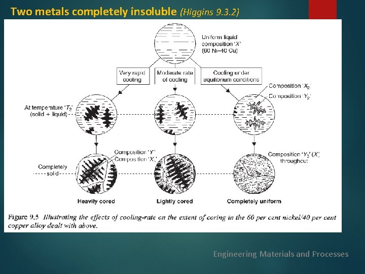 Two metals completely insoluble (Higgins 9. 3. 2) Engineering Materials and Processes 