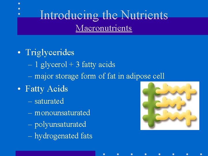 Introducing the Nutrients Macronutrients • Triglycerides – 1 glycerol + 3 fatty acids –
