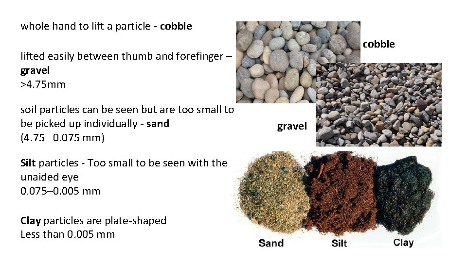 whole hand to lift a particle - cobble lifted easily between thumb and forefinger