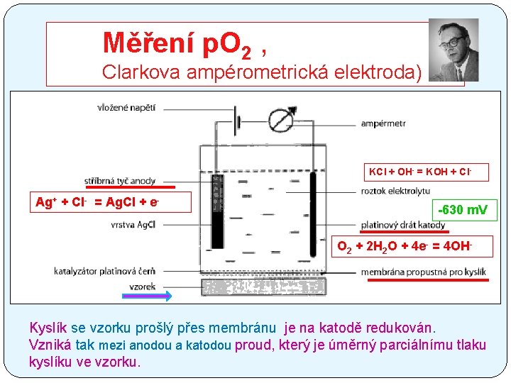 Měření p. O 2 , Clarkova ampérometrická elektroda) KCl + OH- = KOH +