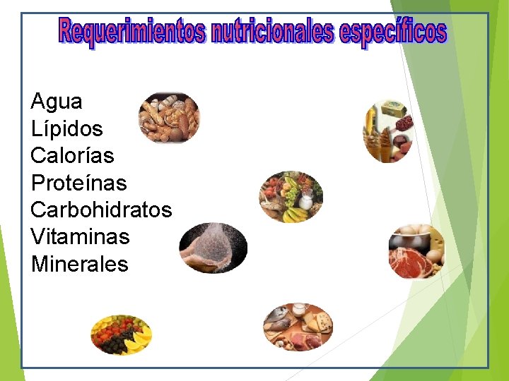 Agua Lípidos Calorías Proteínas Carbohidratos Vitaminas Minerales 